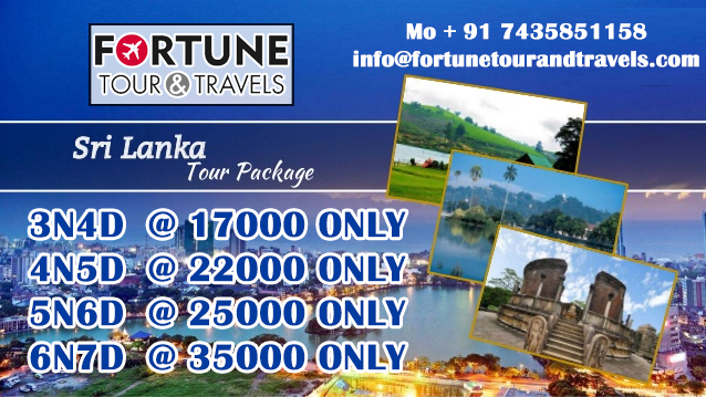 online tour package.com