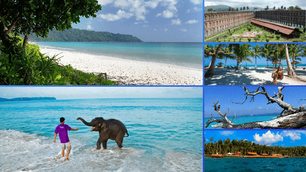 ANDAMAN PACKAGE FOR  : 03 NIGHT 04DAYS