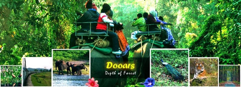 Dooars 3 Night / 4 Days