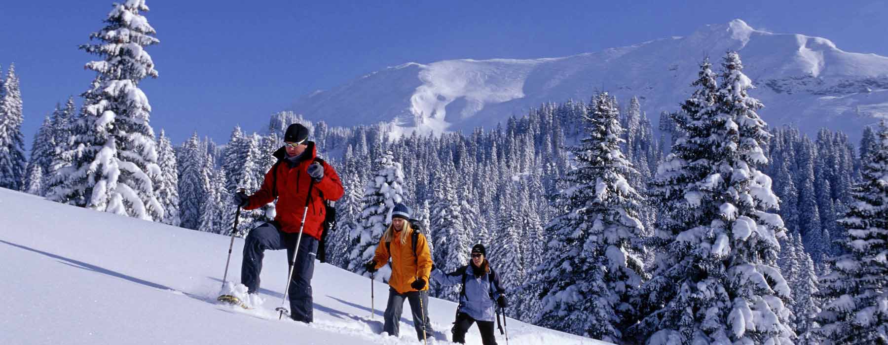 SRINAGAR  GULMARG SONMARG OR DHOODPATRI & PAHALGAM PACKAGES-(3N/4D)