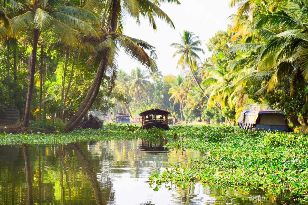 Best of Kerala 7 Nights 08 Days