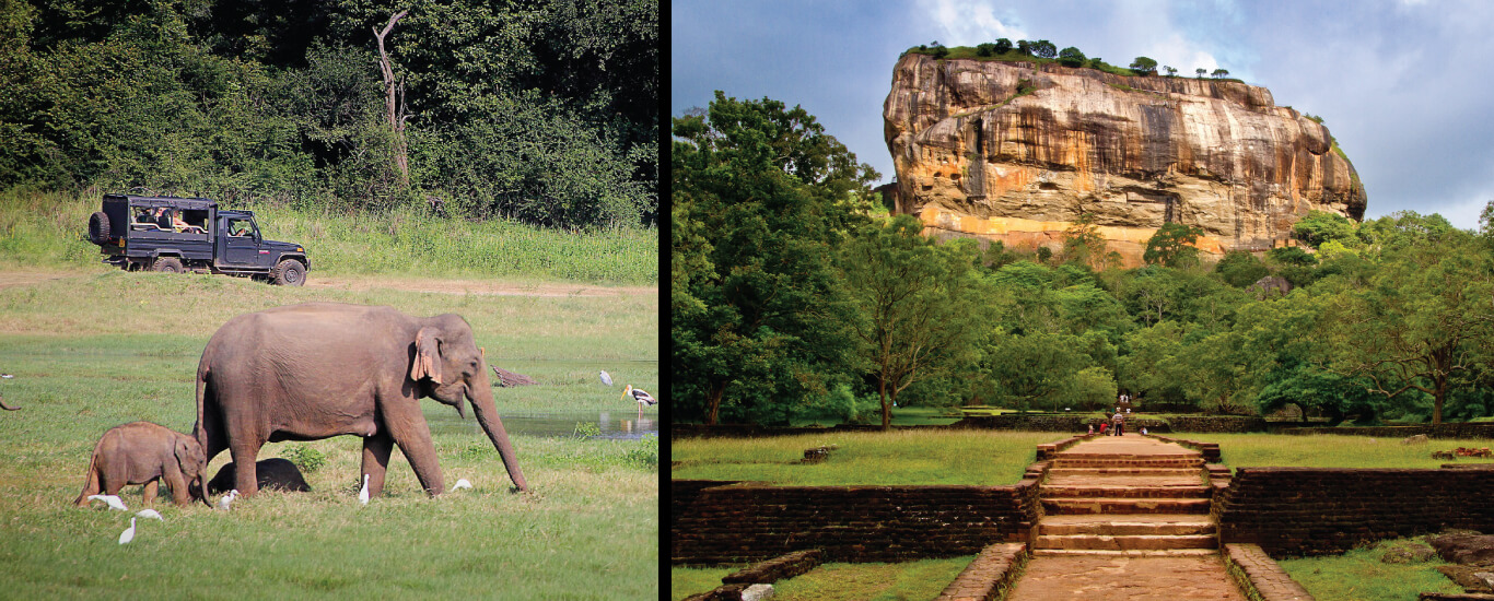 Evergreen Sri Lanka Tour Option 03 - 9 Nights