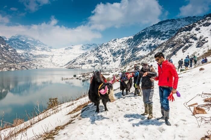 5 Night / 6 Days Sikkim Student Group