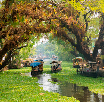 Kerala travel experience
